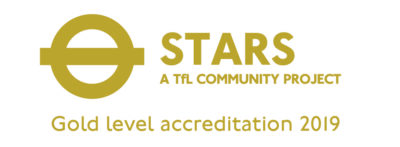 Stars gold level logo